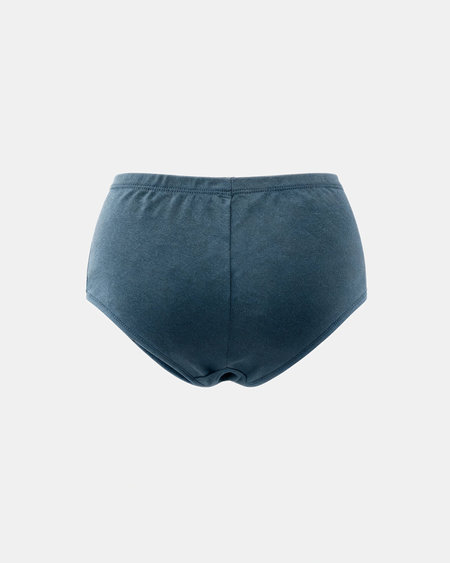 smoothing seamless brief Slate — Wear Rose