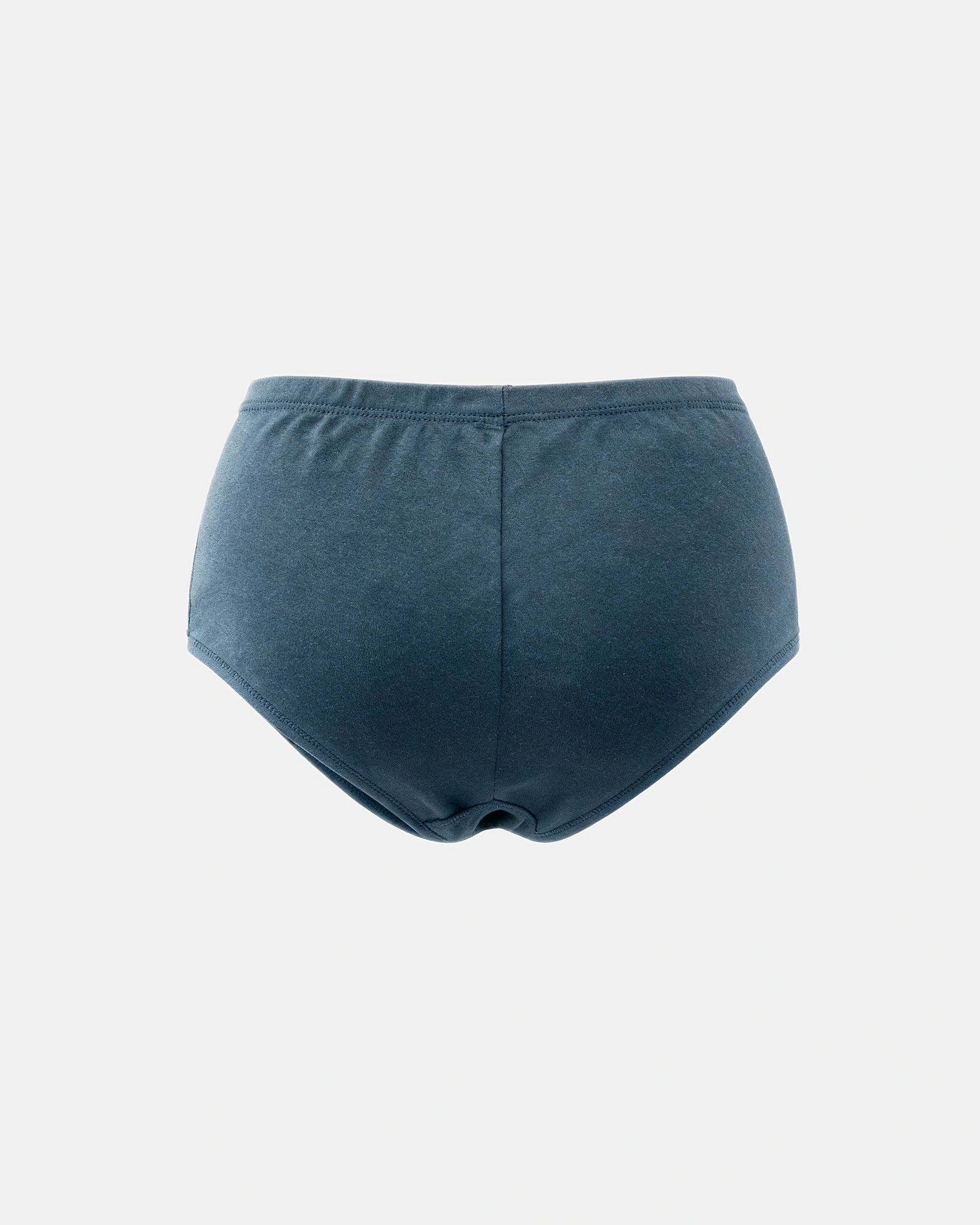 smoothing seamless brief Slate — Wear Rose